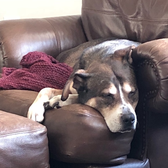 Meet your Posher, Adam - Picture 1 of 1